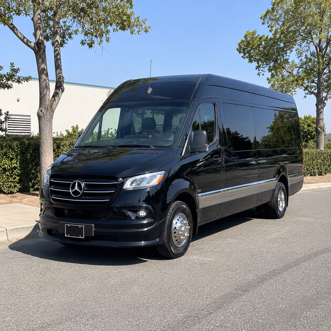 akron wedding sprinter van rental